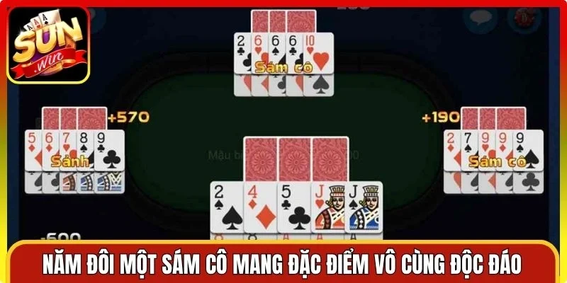 Năm đôi một sám cô mang đặc điểm vô cùng độc đáo